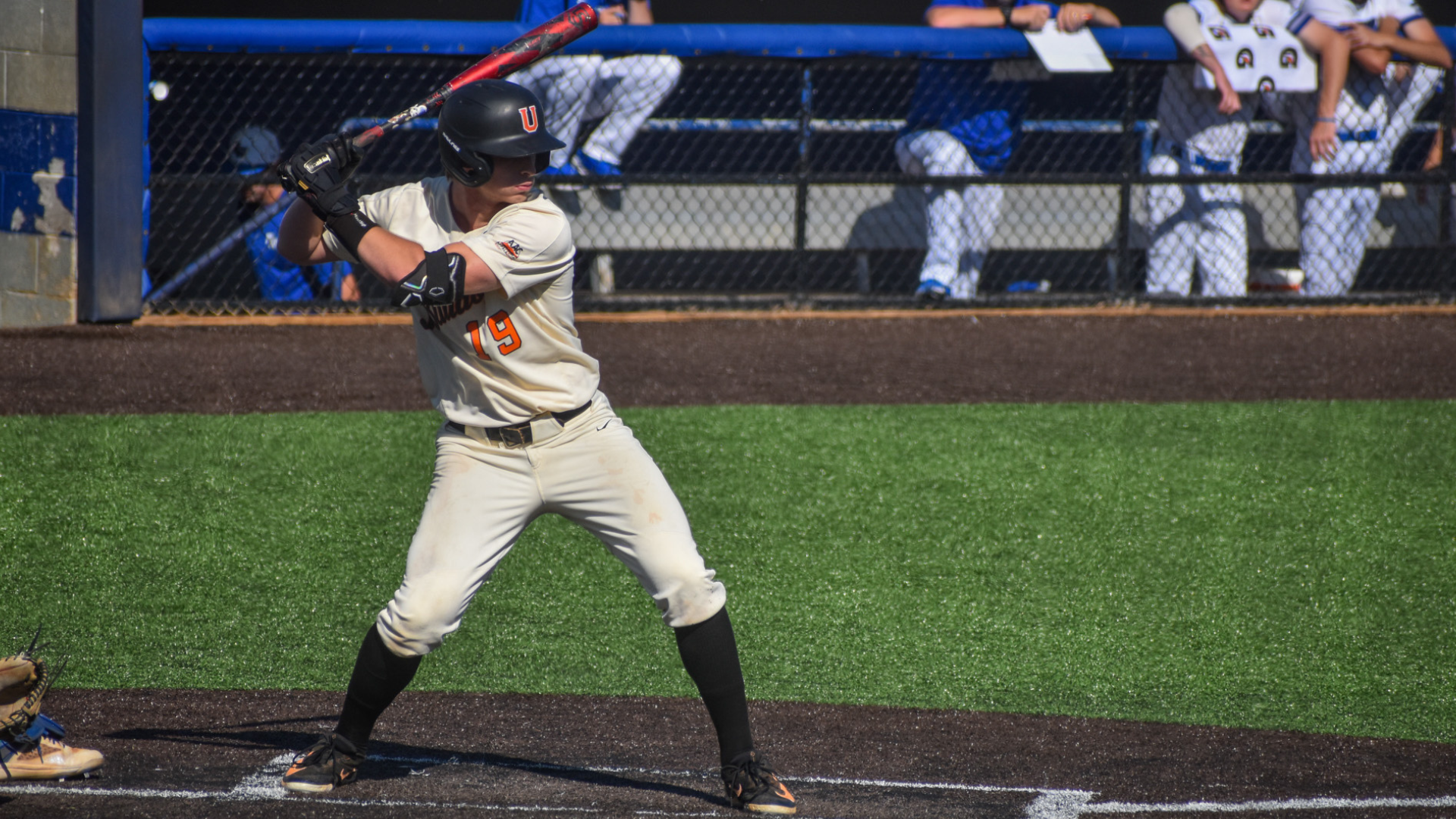 No. 10 Union wins 15-3 in seven innings over No. 3 Pikeville in AAC Tournament